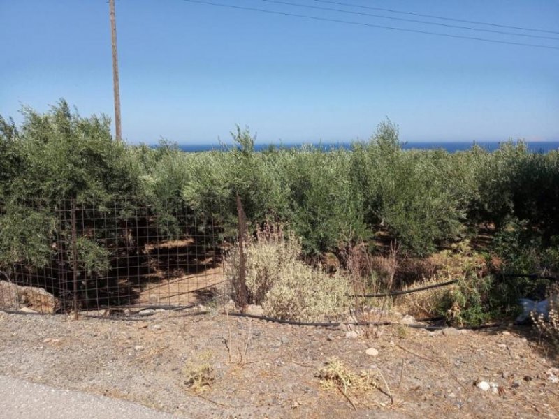 Kissamos Grundstück in der Nähe des Strandes von Falassarna Grundstück kaufen